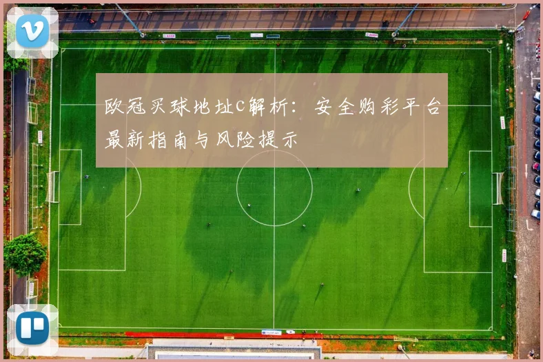 欧冠买球地址c解析：安全购彩平台最新指南与风险提示